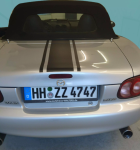 dekor-und-designstreifen_78